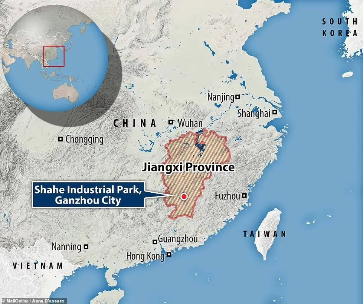 العثور على جنين ديناصور في بيضة متحجرة بالصين