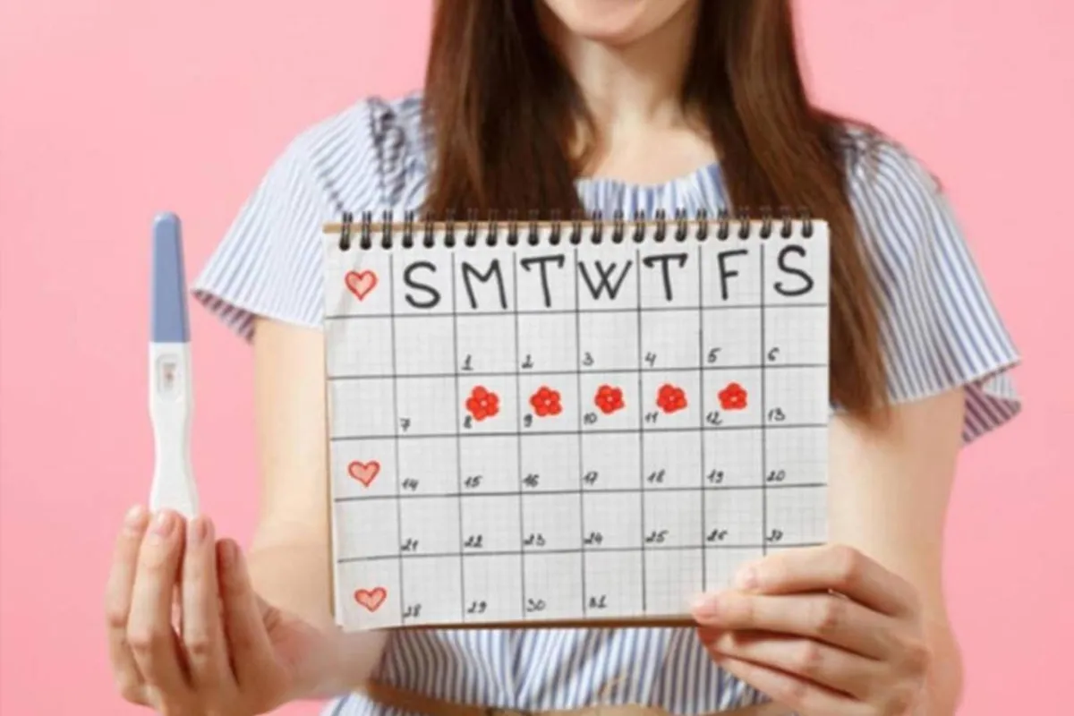 صورة لحامل تخاول حساب فترة  التبويض