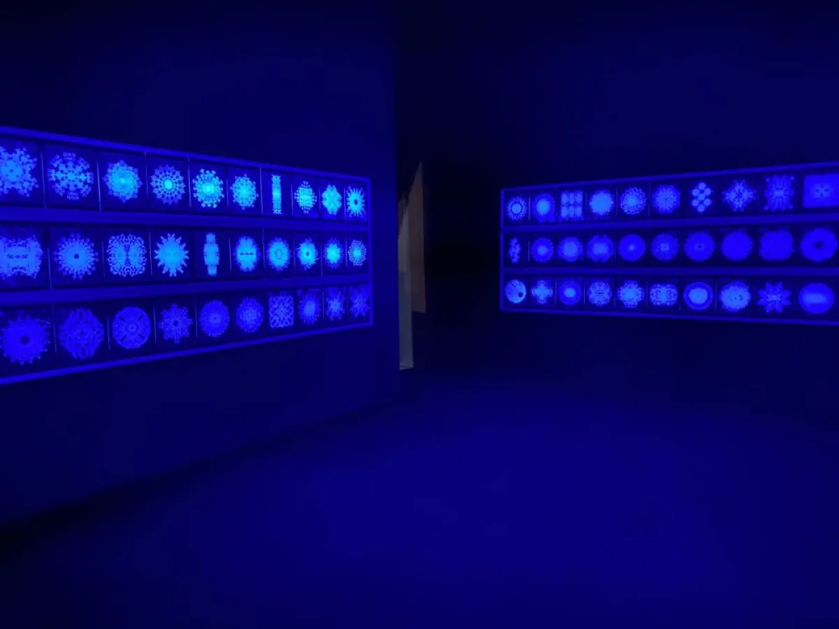 لوحة للولوة الحمود