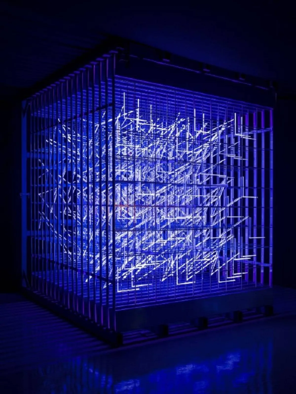 لولوة الحمود