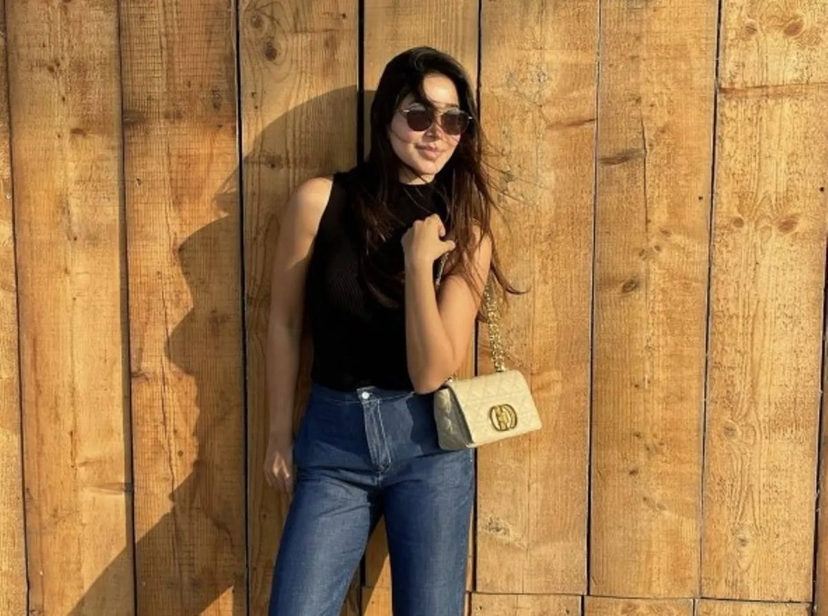 أسيل عمران - الصورة من انستغرام الفنانه