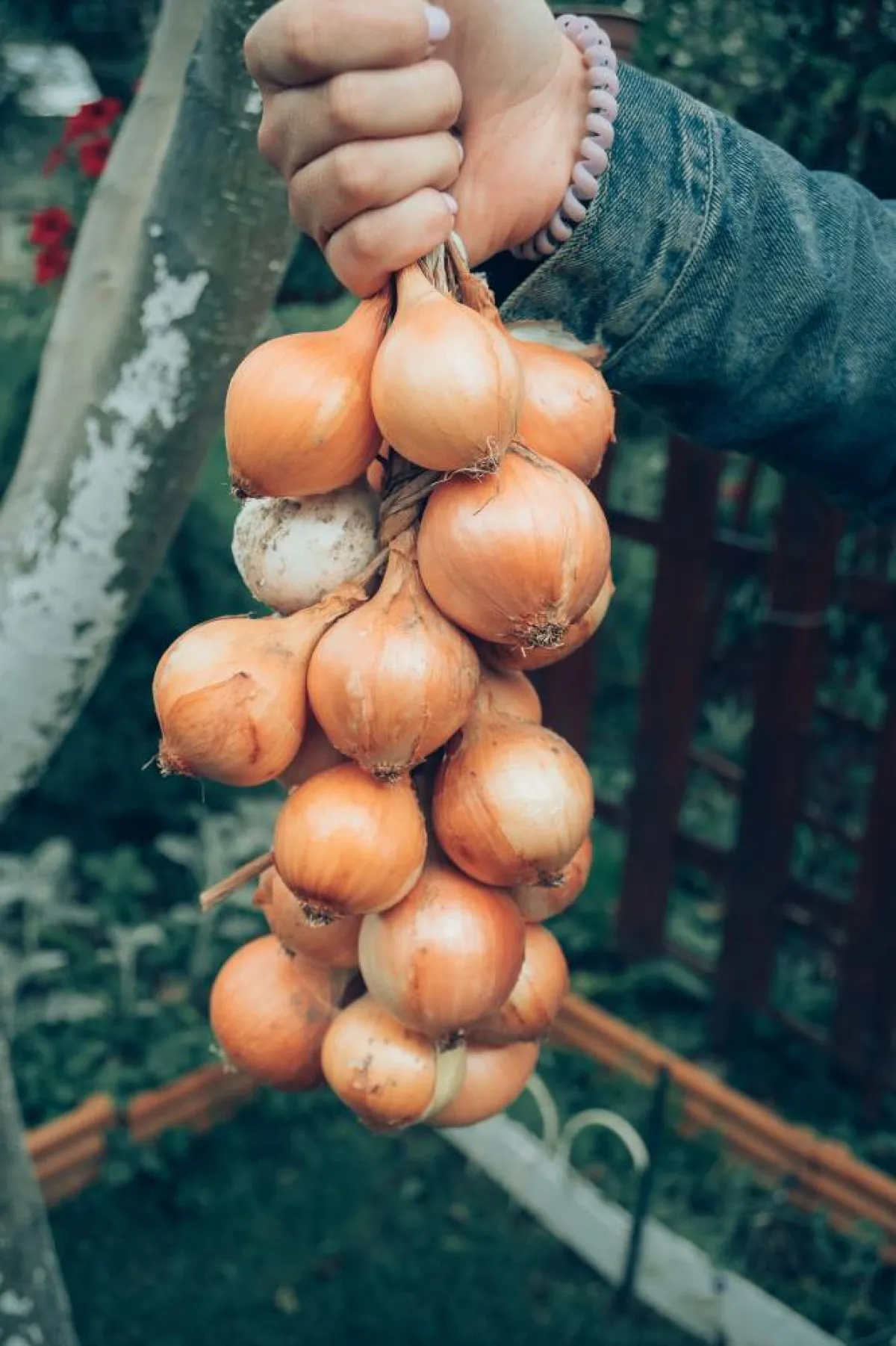 كيف يستقبل العالم العام الجديد؟