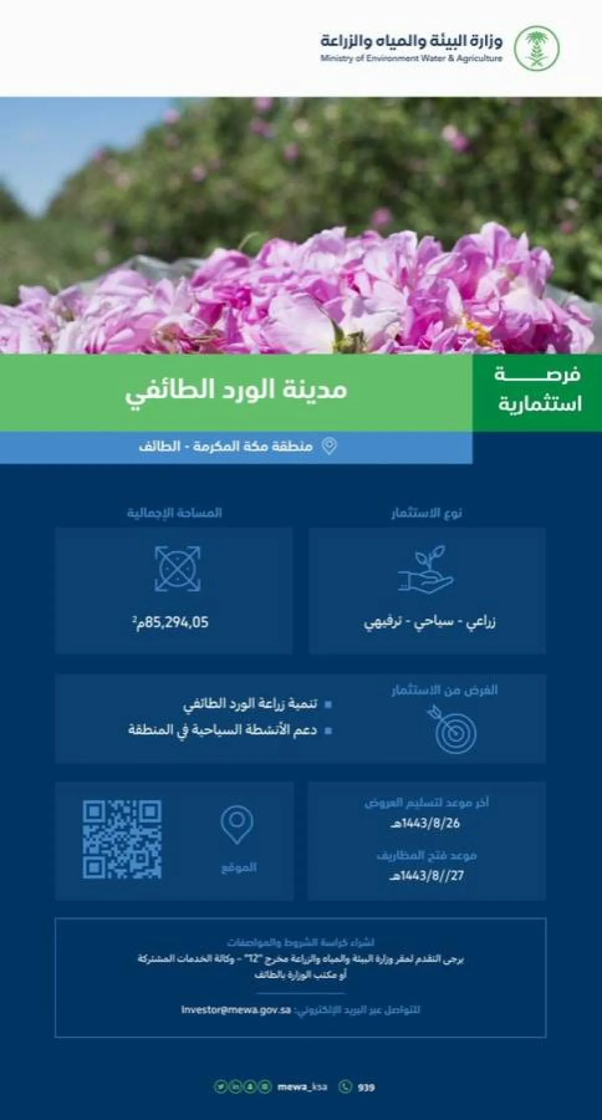 فرص استثمارية لإنشاء مدينة الورد الطائفي في الطائف