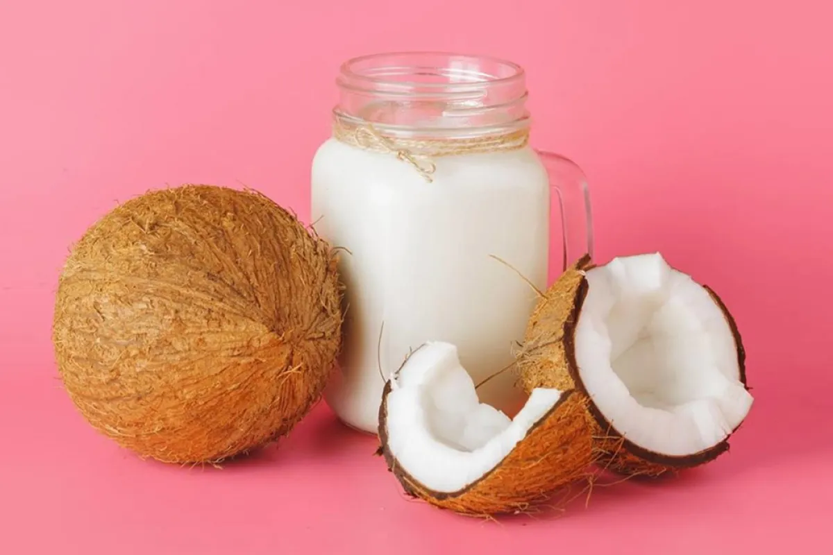 صورة لماء جوز الهند المفيد وثماره الشهية