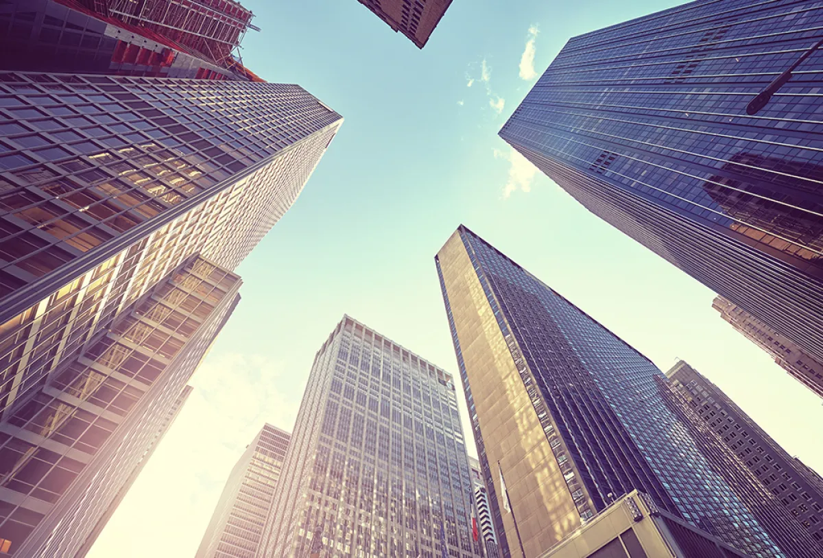 ناطحات سحاب من الإسفنج، وبطاريات من الفاكهة