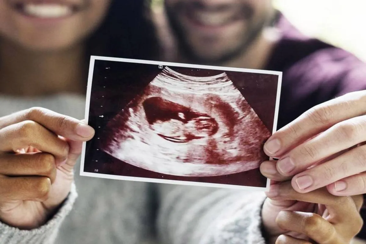 فوائد القرع الخضر للجنين 