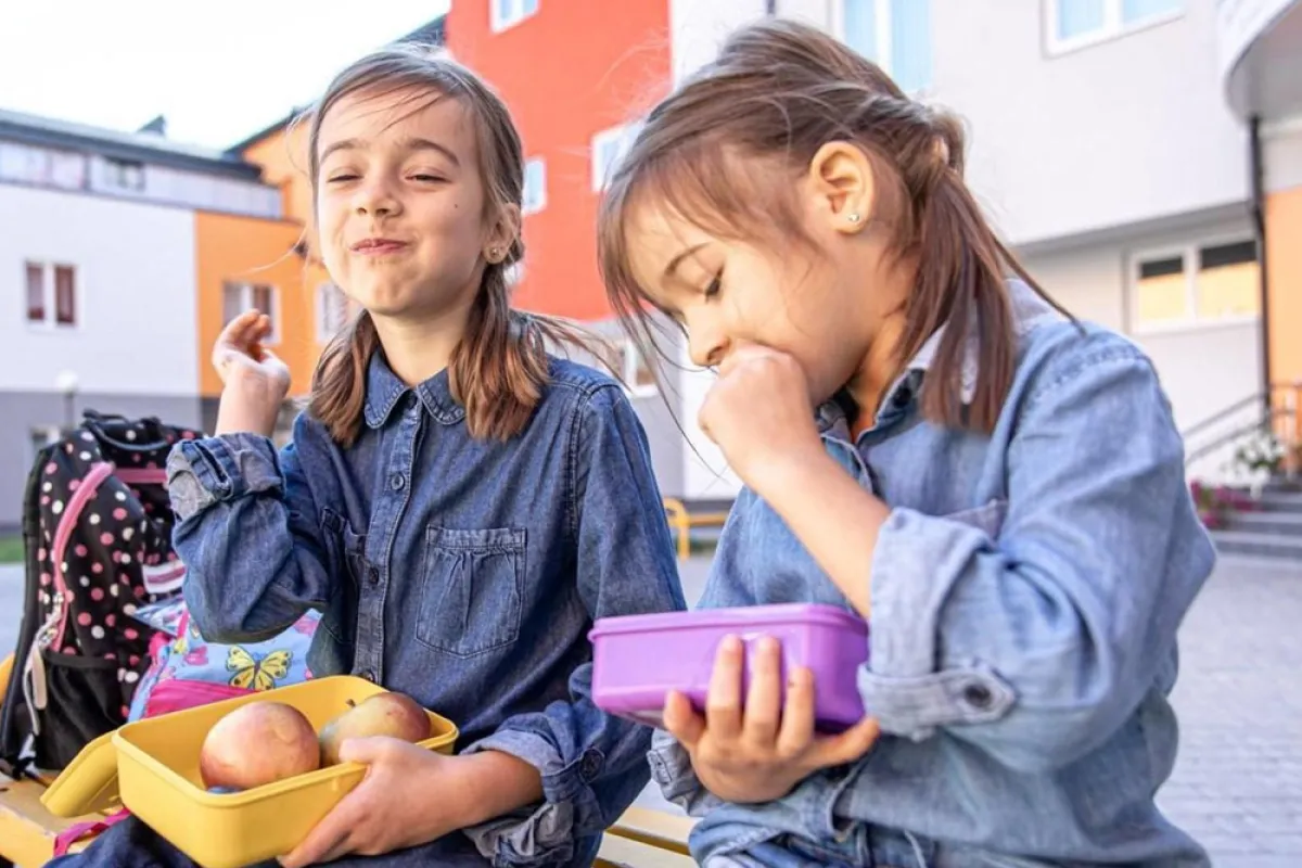 كيف تختارين حافظة طعام للأطفال؟