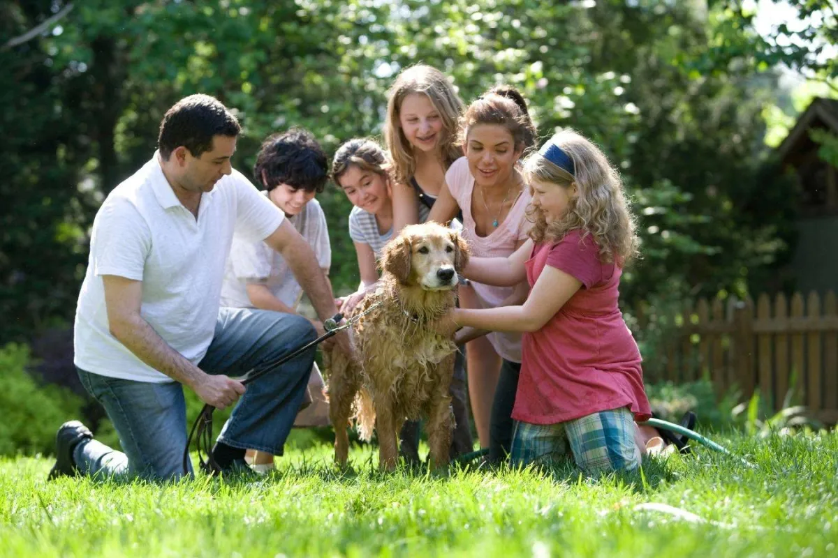 دور الأب في حياة الأبناء