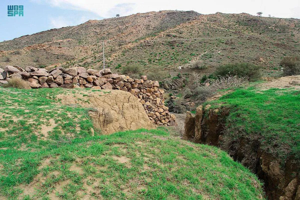 سدود الطائف تاريخ عمره مئات السنين - الصورة من واس