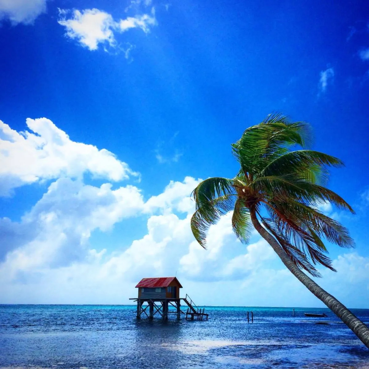 أمبرجريس كاي