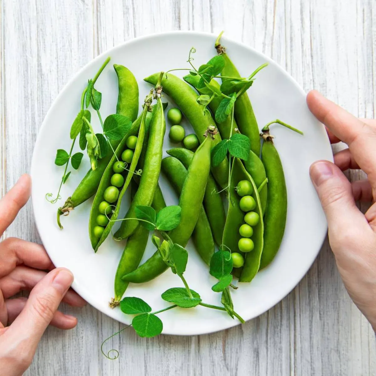 صورة لطبق يحوي بزلاء