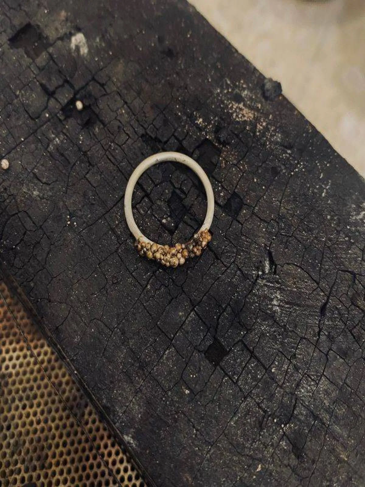 تصميم هاجر الدخيل