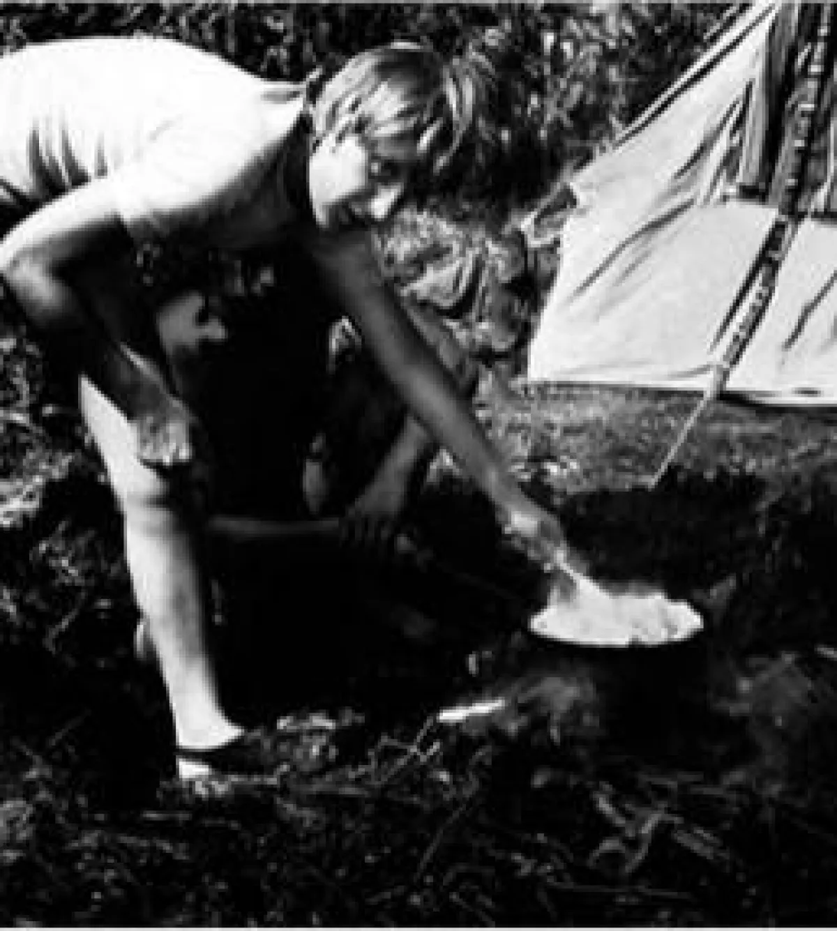 أنجيلا ميركل