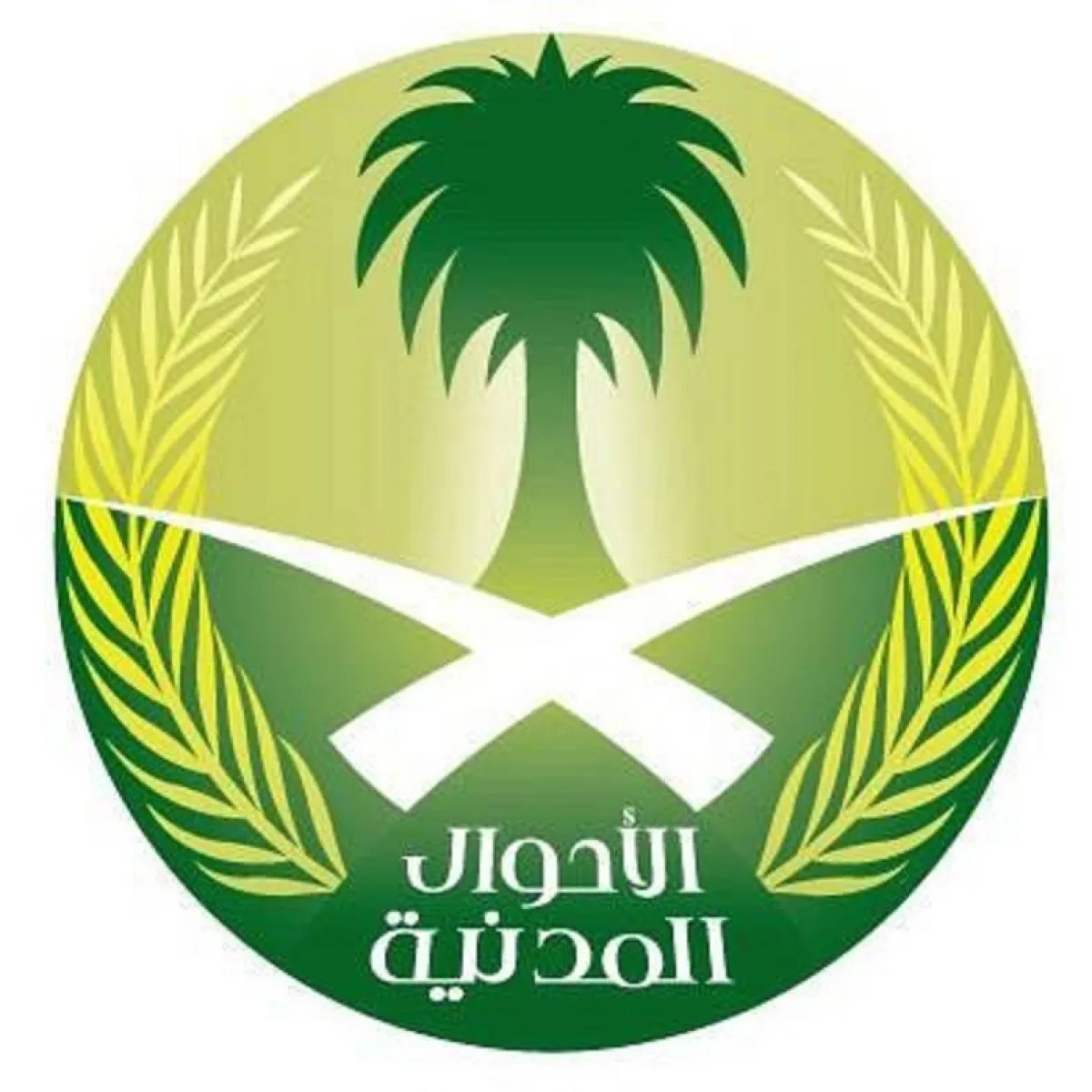 4 خطوات لتسجيل المواليد إلكترونيا عبر أبشر. الصورة من "واس"