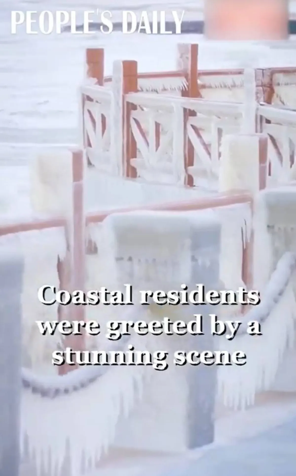 الثلوج تصنع مناظر خلابة في الصين 