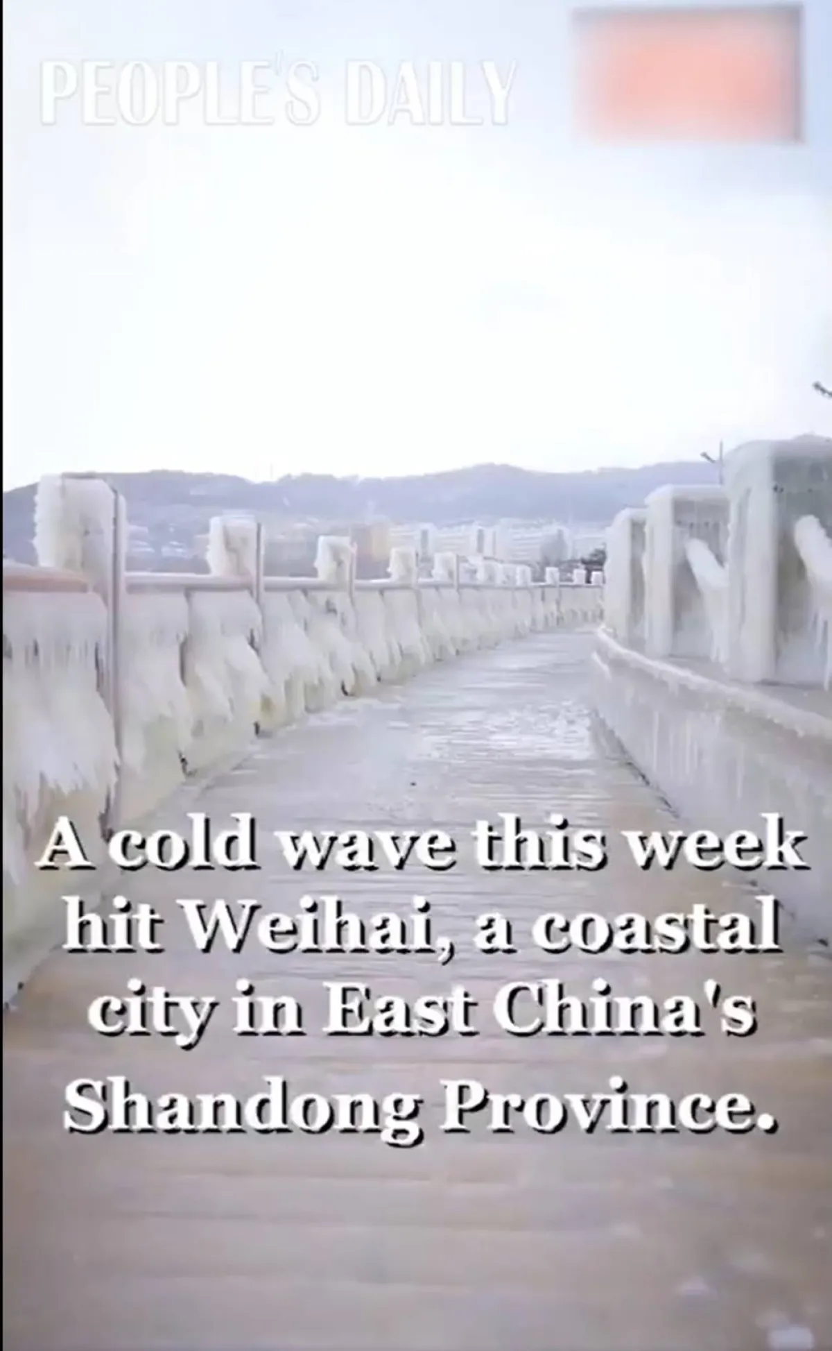 الثلوج تصنع مناظر خلابة في الصين 