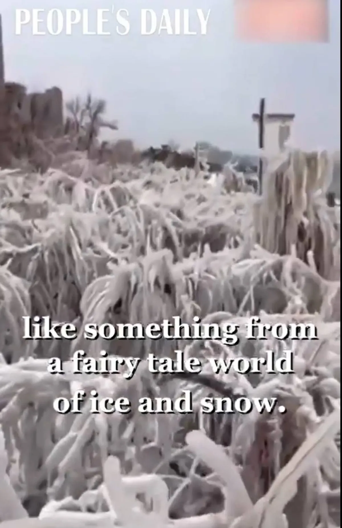 الثلوج تصنع مناظر خلابة في الصين 