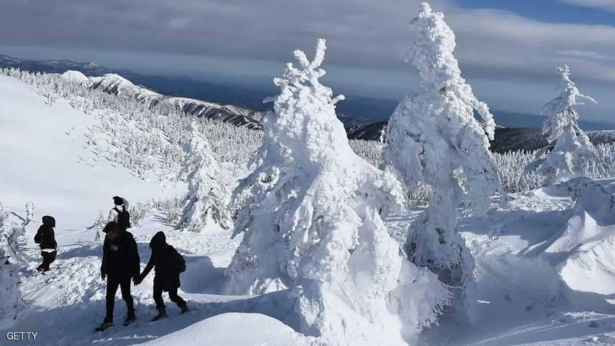 الثلوج تصنع مناظر خلابة في الصين 