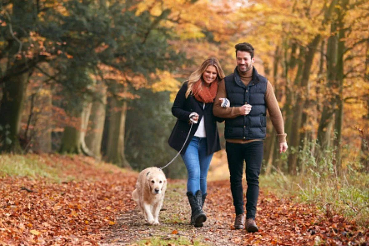 كلام المخطوبين