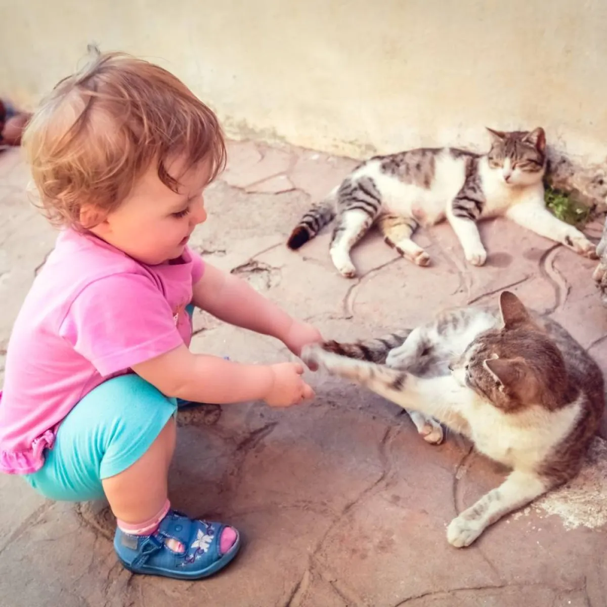 صورة لطفل يلعب