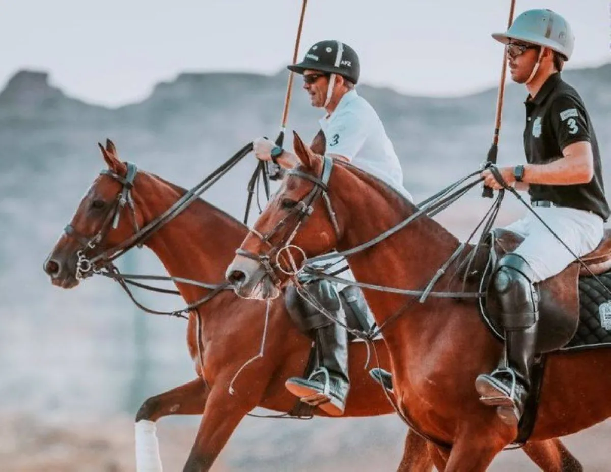 بطولة ريتشارد ميل