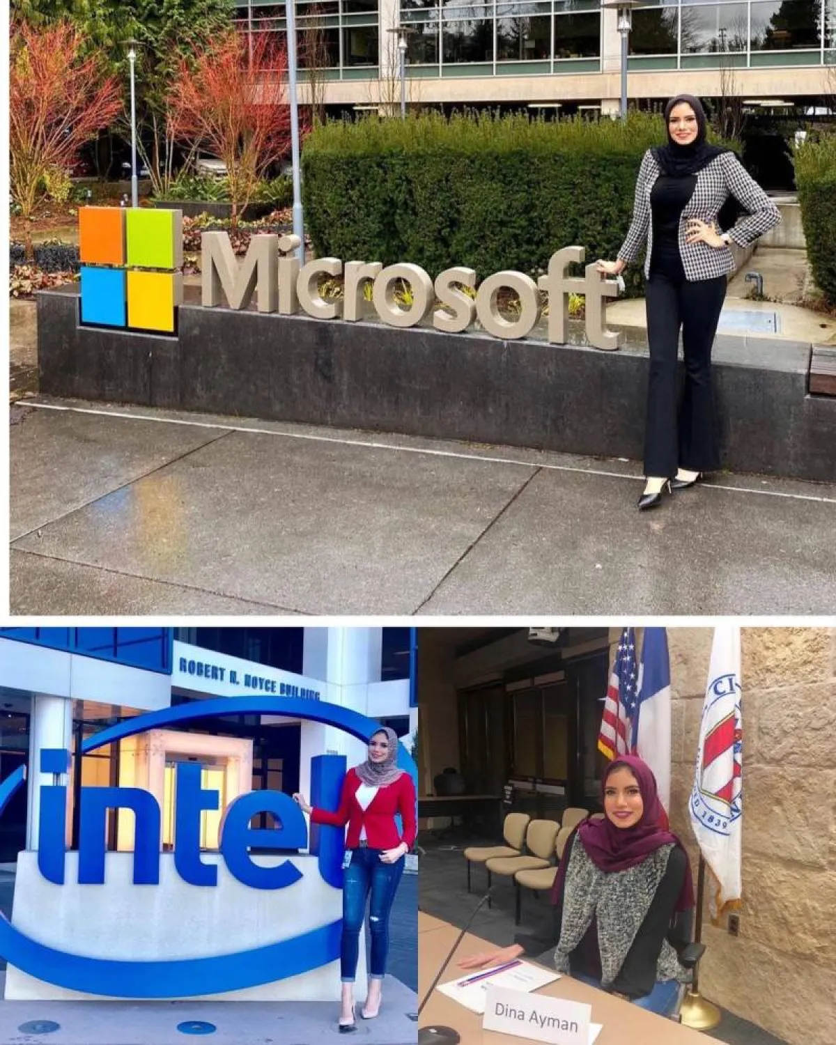 م. دينا أيمن