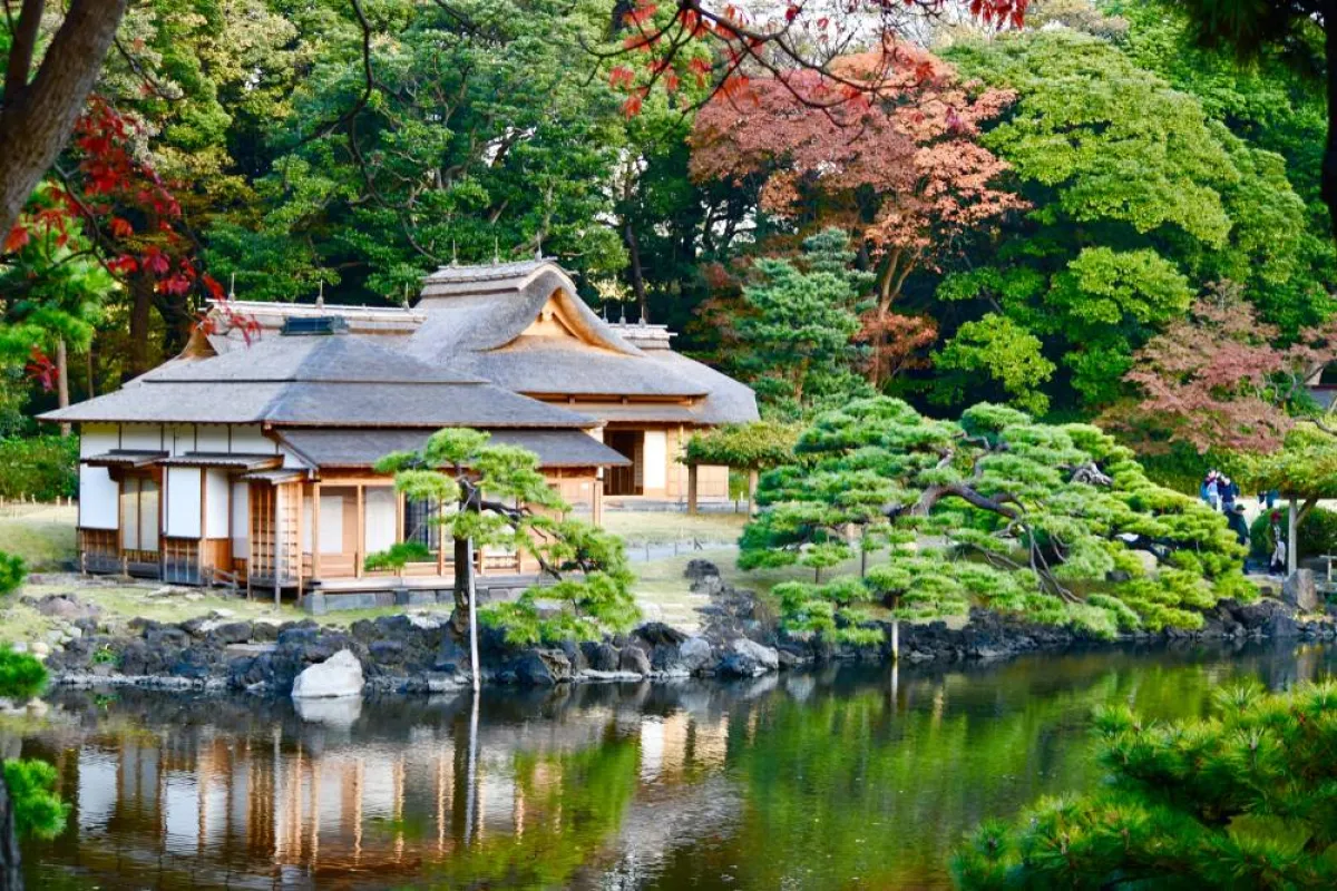 حدائق هاماريكيو