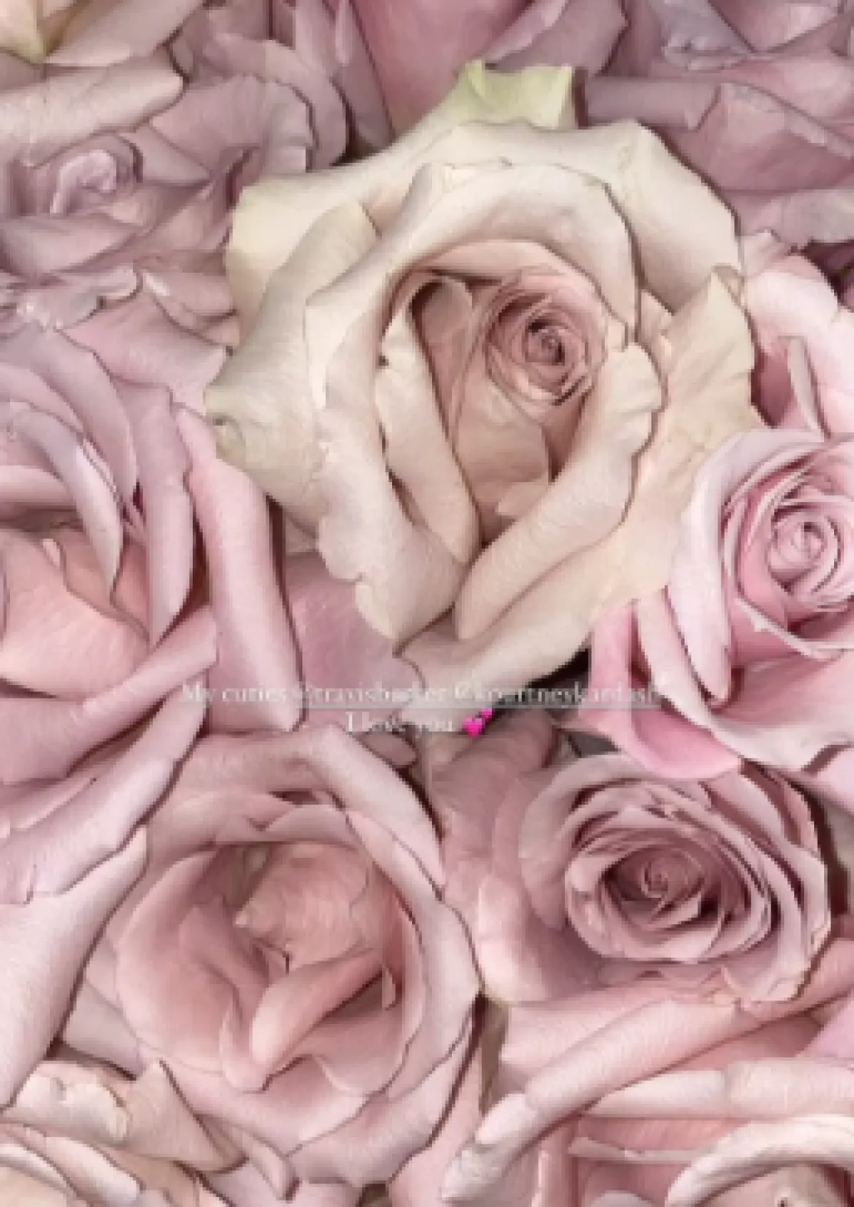 الورد الذي أرسلته كورتني لكلوي- الصورة من  ستوري كلوي على إنستغرام