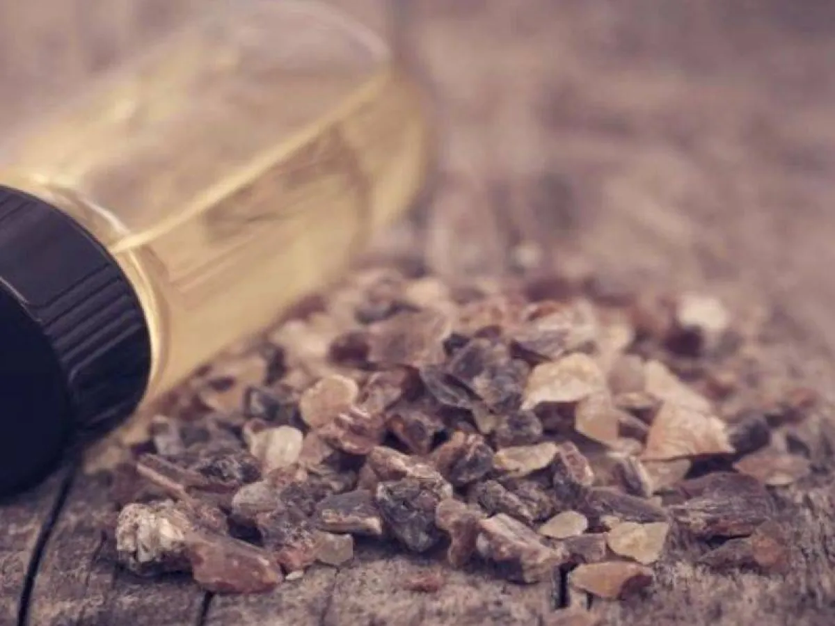 زيت لبان الذكر