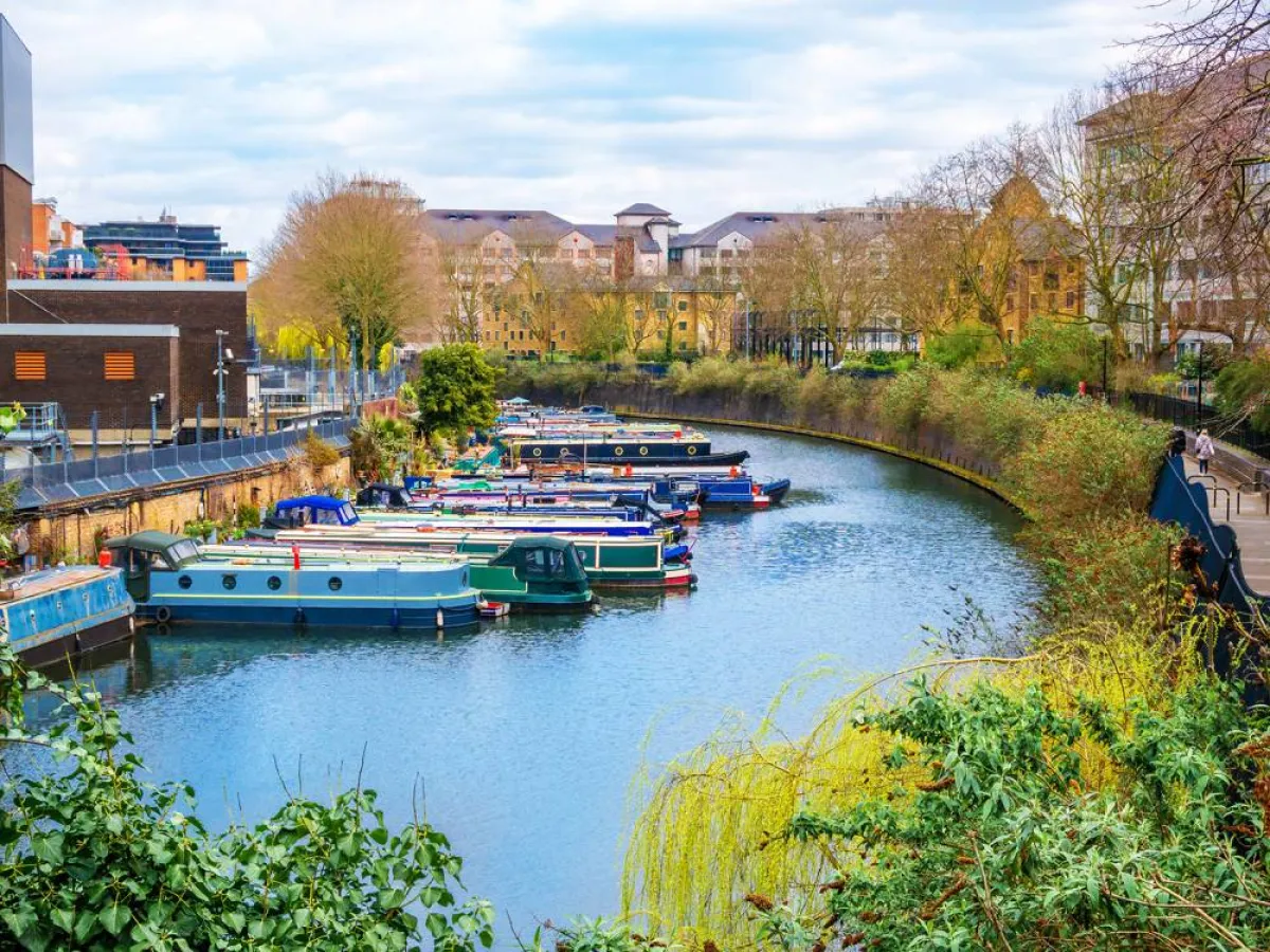 كروز ذا ليتل فينيس