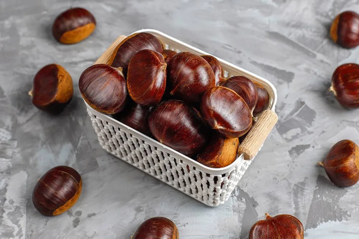 ماذا يحصل للجسم لدى تناول الكستناء؟