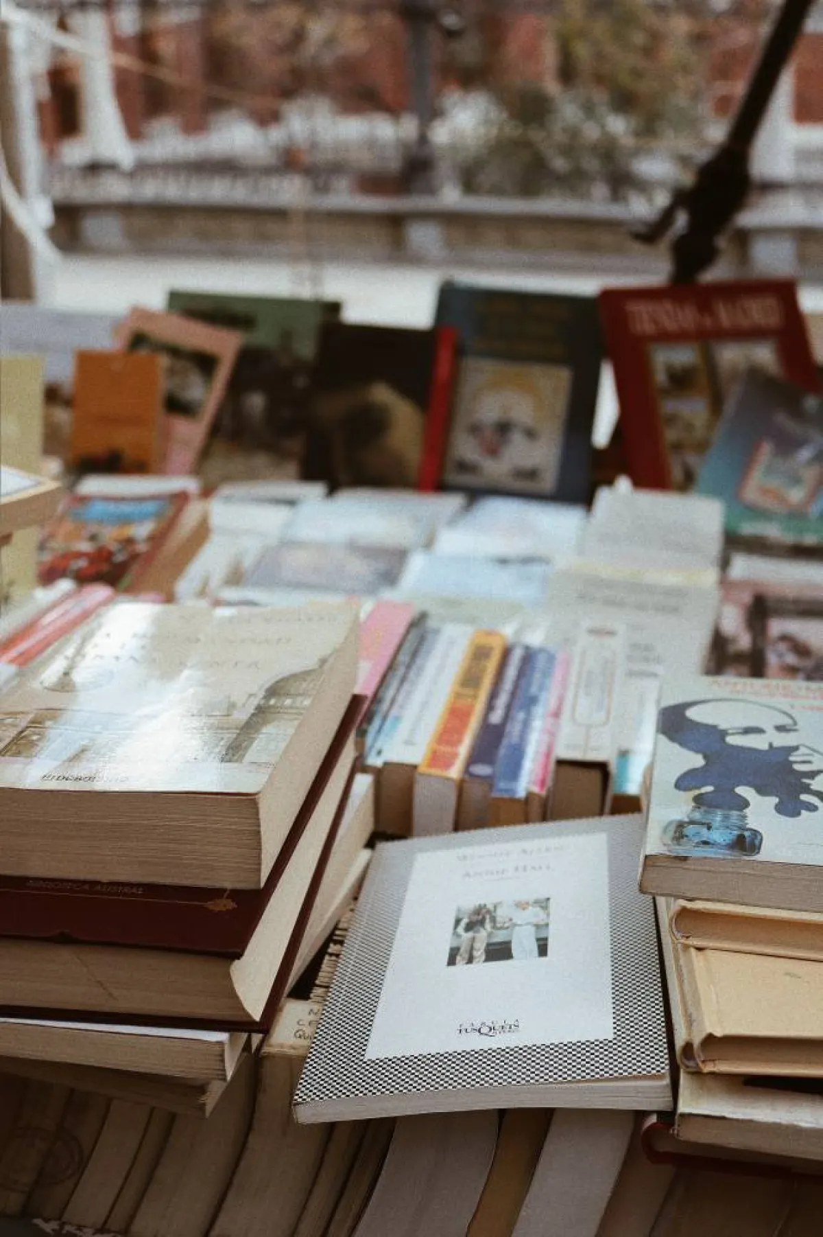 الثقافة.. كيف تؤثر بالمجتمع