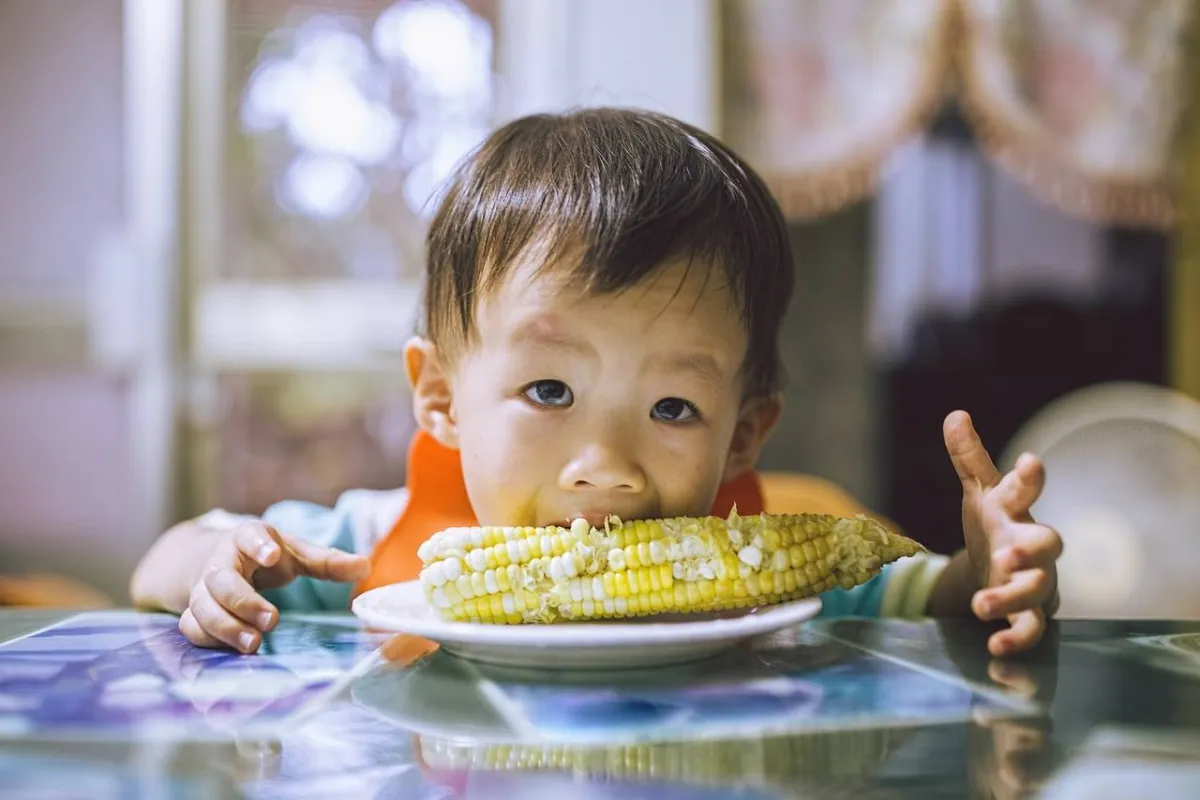 صورة لطفل يأكل الذرة