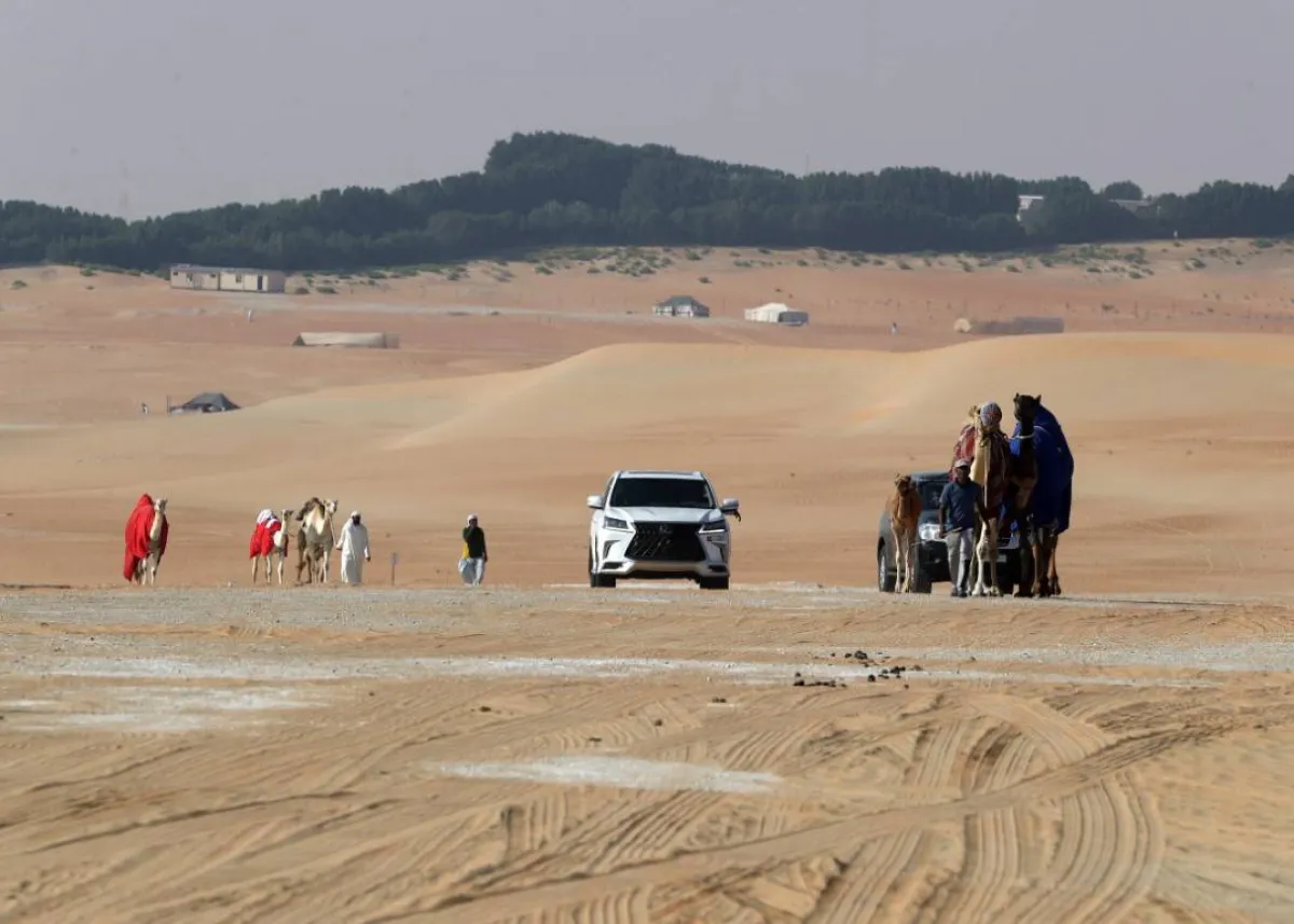 تواصل الاستعدادات لانطلاق مهرجان الظفرة 12 يناير الجاري. الصورة من "وام"