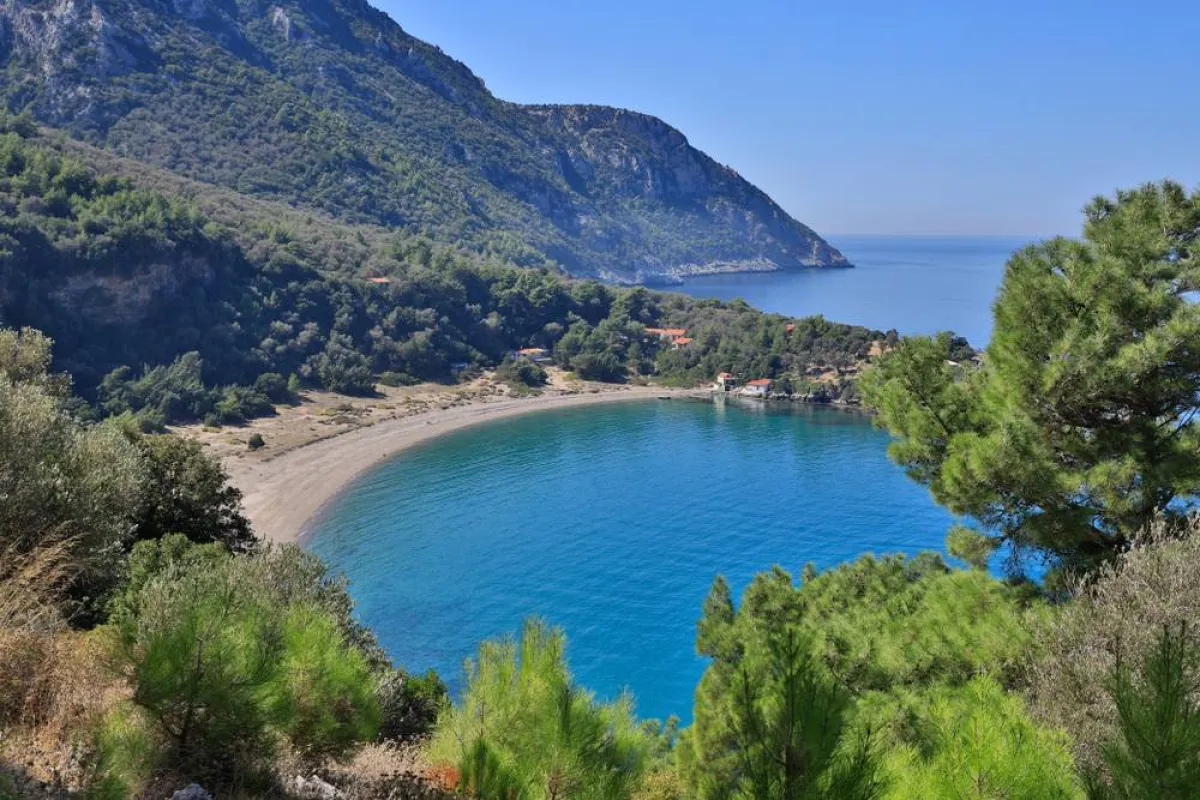 شاطئ ميكرو سيتاني