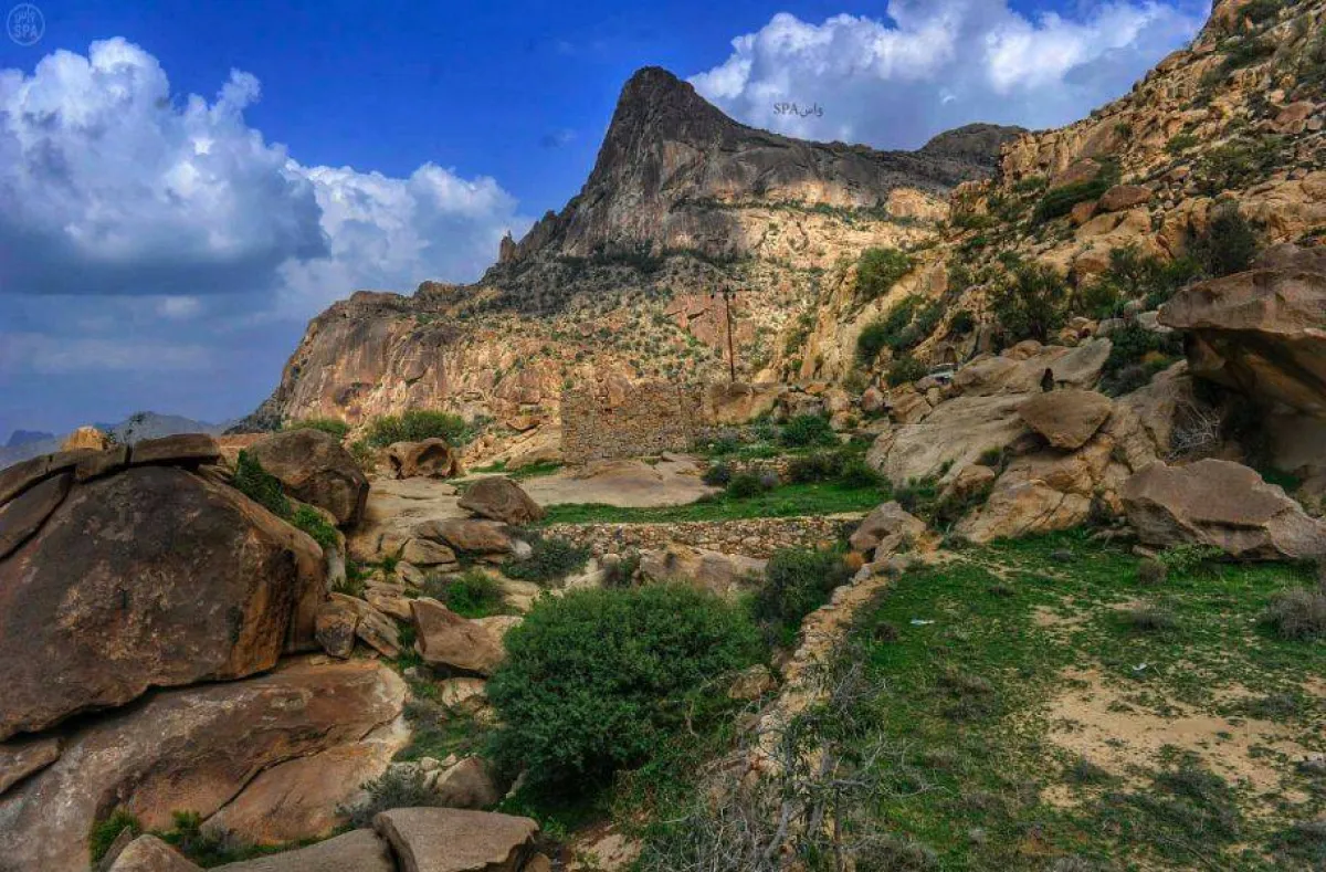 جبل شدا بالباحة