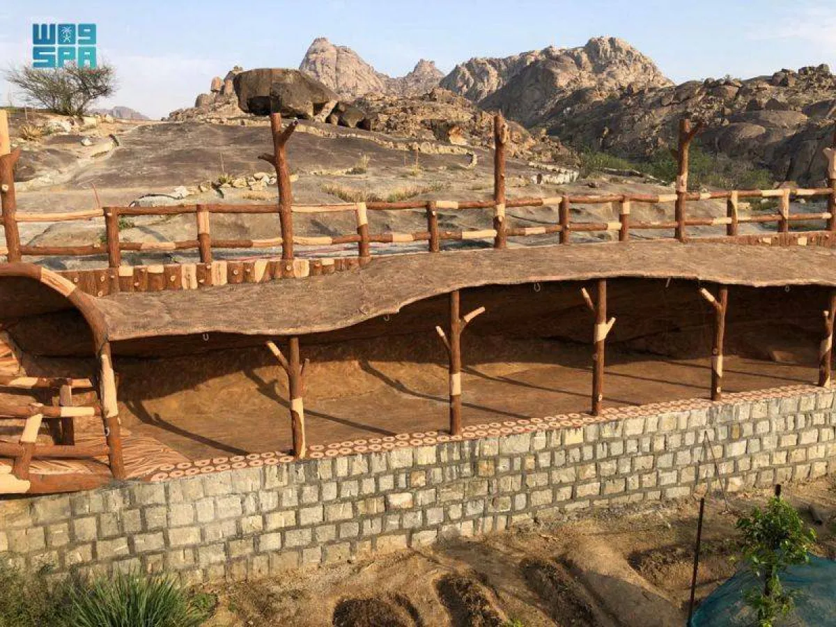 جبل شدا بالباحة