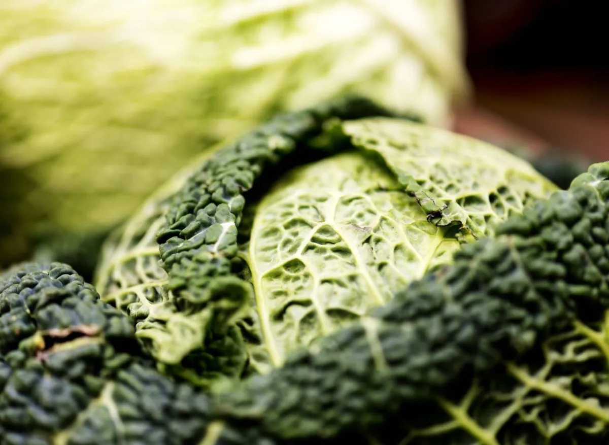 صورة لأوراق الملفوف