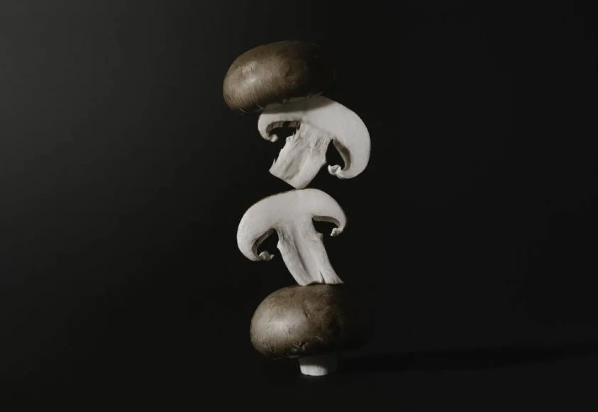 فوائد الفطر للنساء "خارقة" لخسارة الوزن وتقوية المناعة