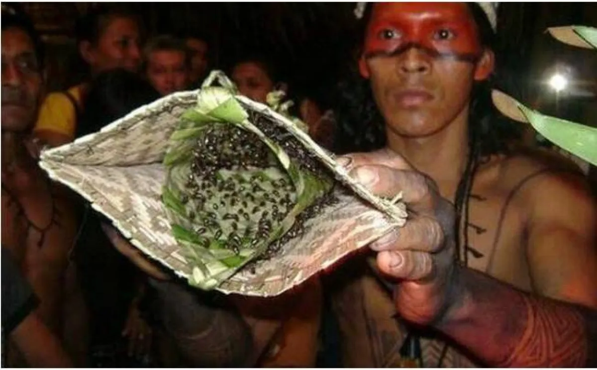 ثقافات غريبة حول العالم