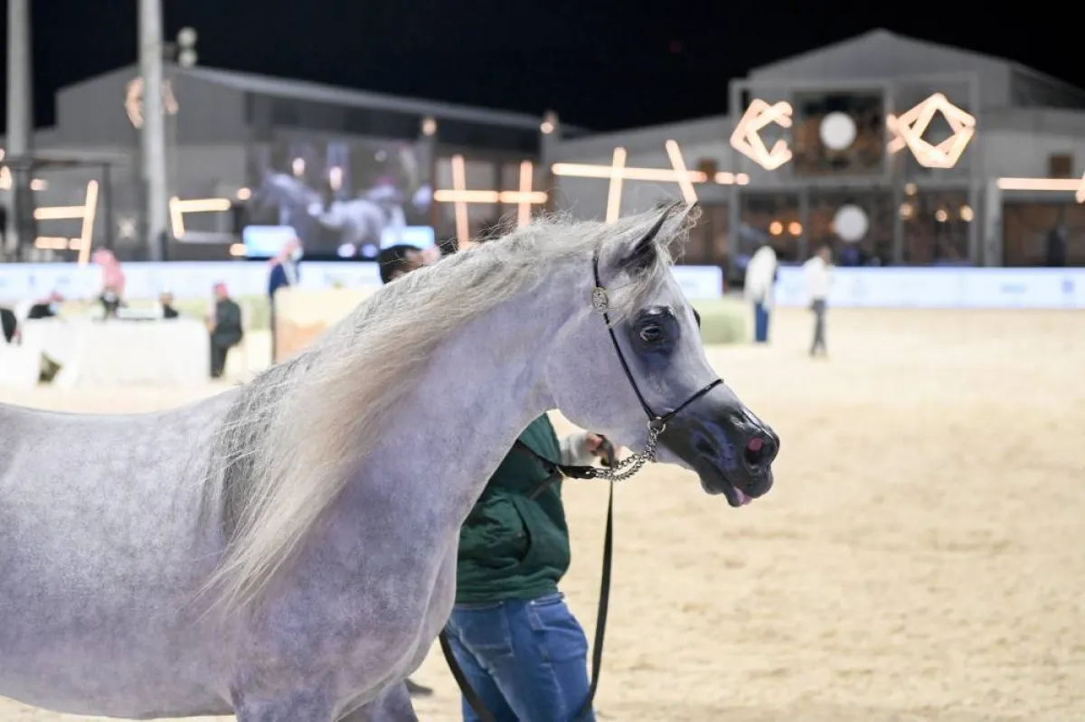 مزاد فخر الدرعية