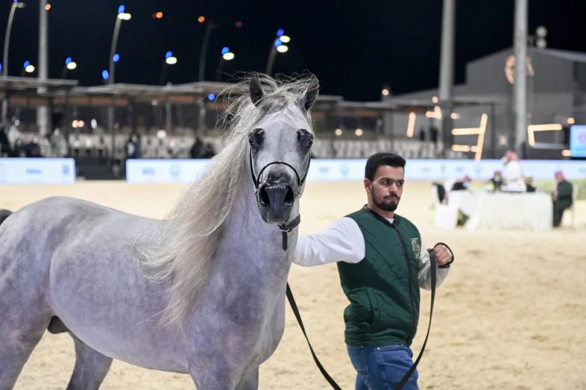 شارك في (مزاد فخر الدرعية) 120 من مربي الخيل العربية الأصيلة