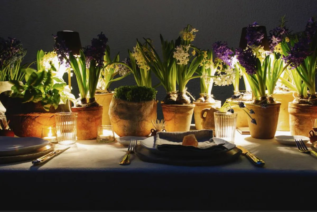 معرض421 يعلن عن برنامج شتاء 2022 متضمناً برامج عامة ومعارض جديدة