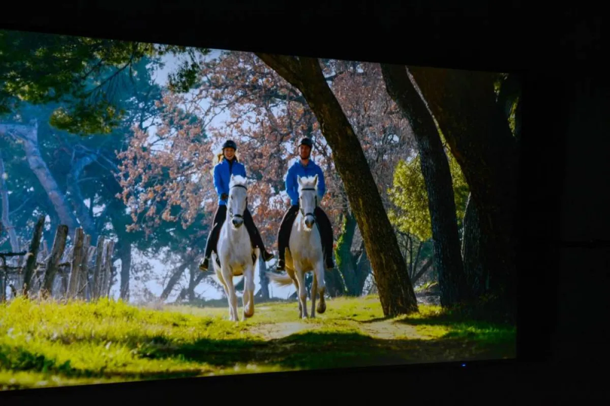 الخيول الأندلسية قصة يرويها جناح سلوفينيا في إكسبو 2020. الورة من "وام"