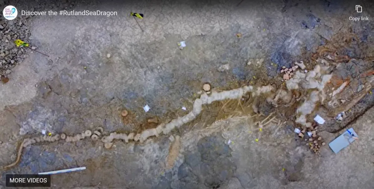 العثور على حفرية لـ"تنين البحر"