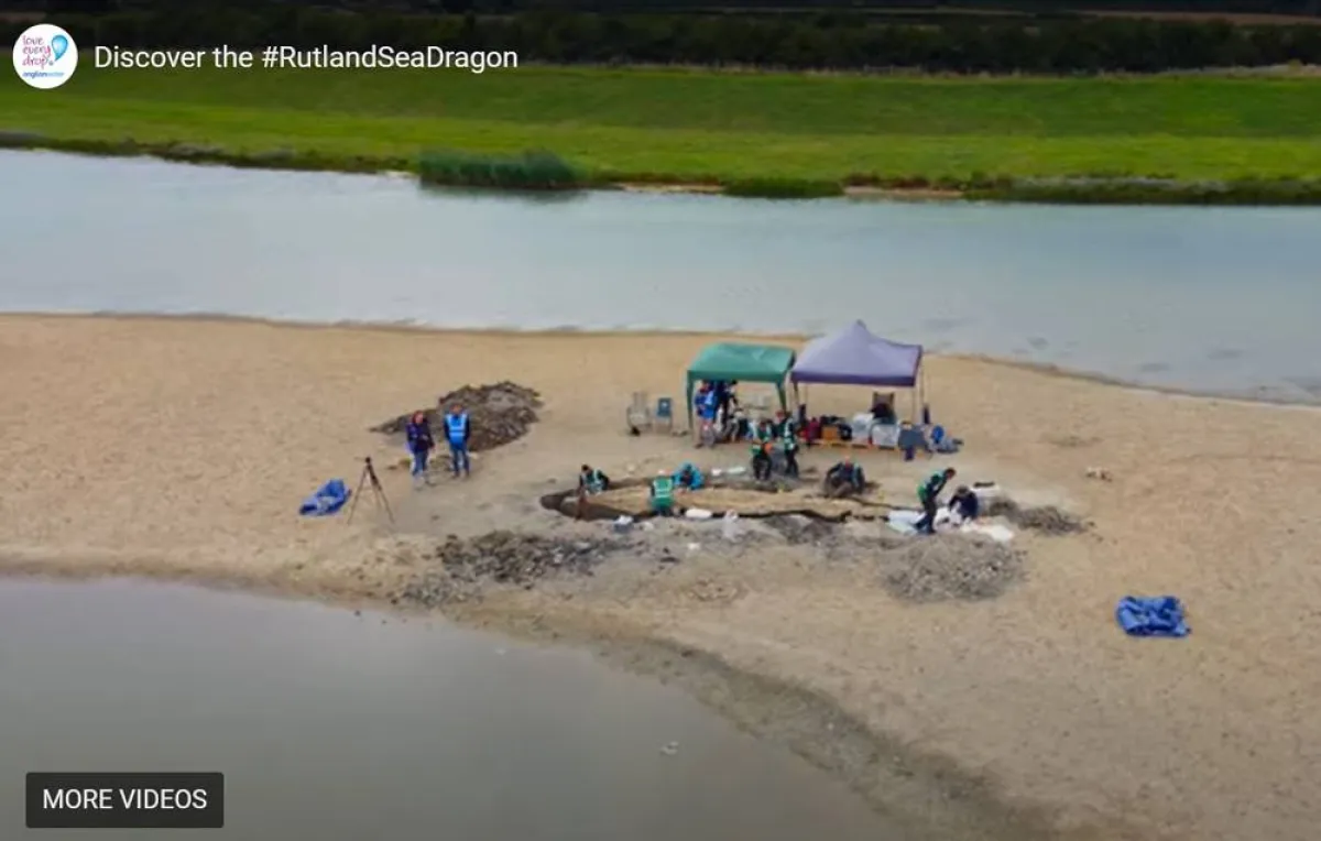 العثور على حفرية لـ"تنين البحر"