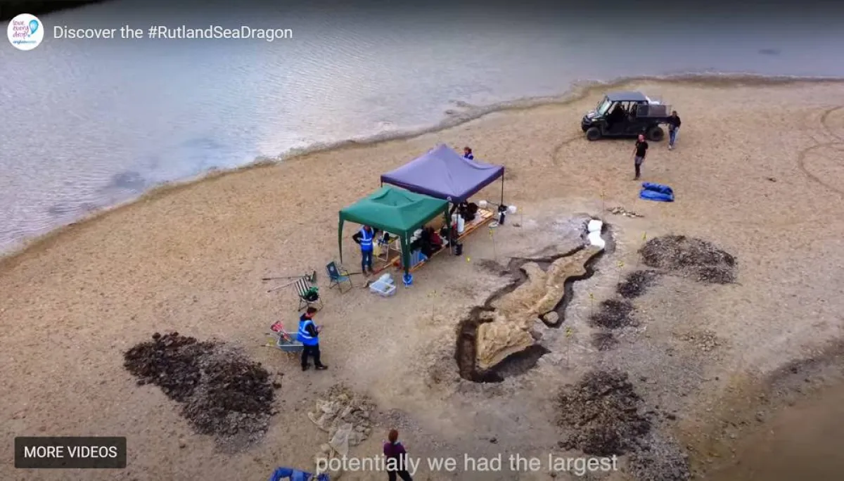 العثور على حفرية لـ"تنين البحر"