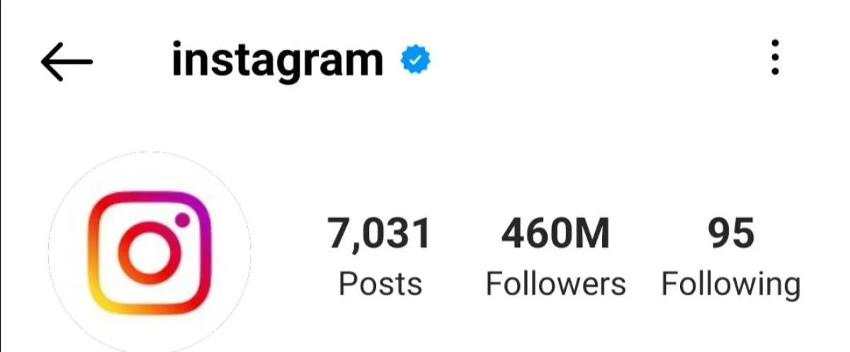 متابعو إنستغرام