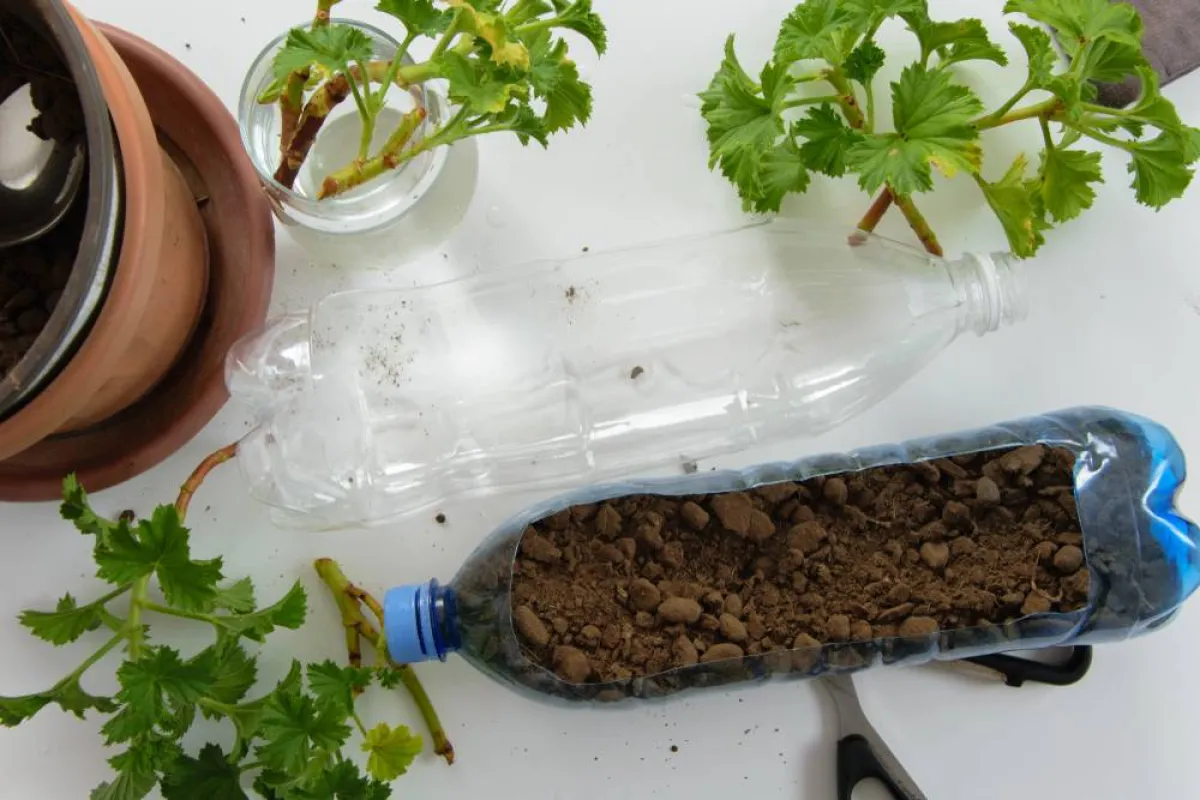  العلب البلاستيكية القديمة الفارغة حاويات للنباتات 