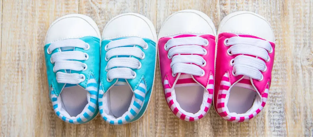 صورة للحمل بتوأم